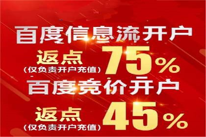 案例分析：百度推广代运营公司在行业中的应用与成效